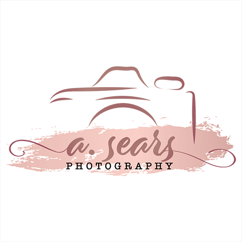 A. Sears Photography Logo featuring a pink paint splash with darker pink stylized text and stylized image of an SLR camera.